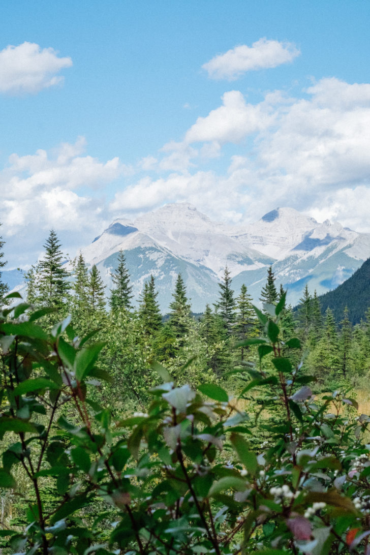 banff-00074