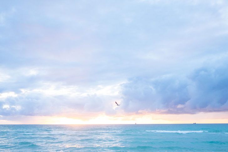 floride-27