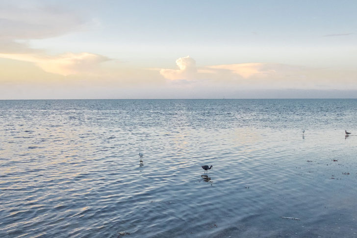 floride-40