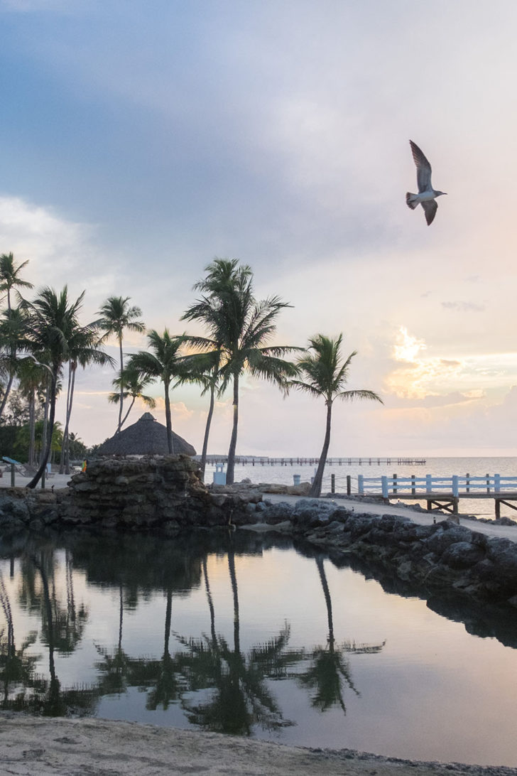 floride-41