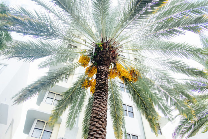 floride-62