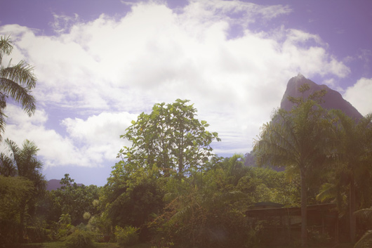 moorea-mountain
