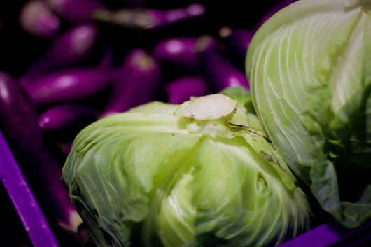 03-choux