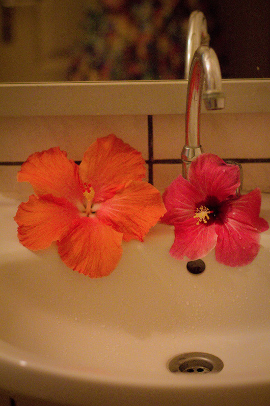 hibiscus-salle-de-bain