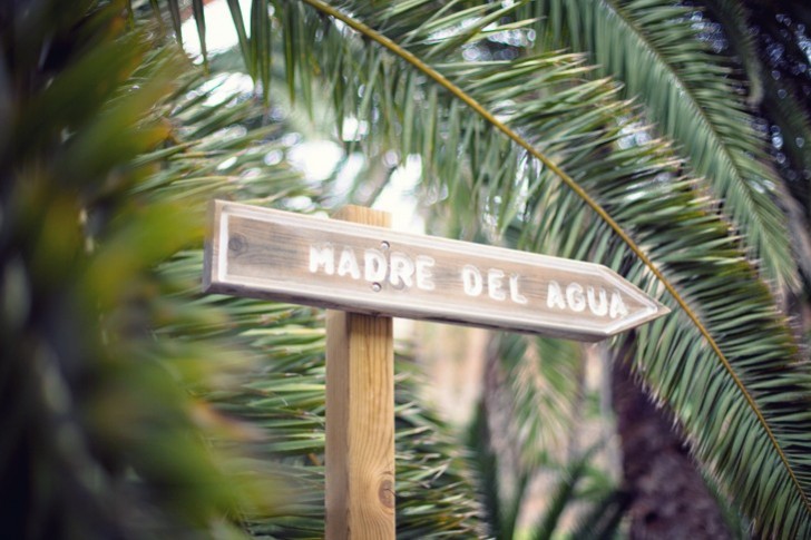 IMG_6112_1.jpg_effected