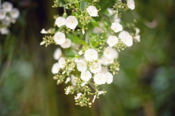 IMG_6119_1.jpg_effected