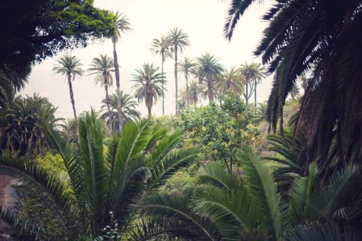 IMG_6130_1.jpg_effected