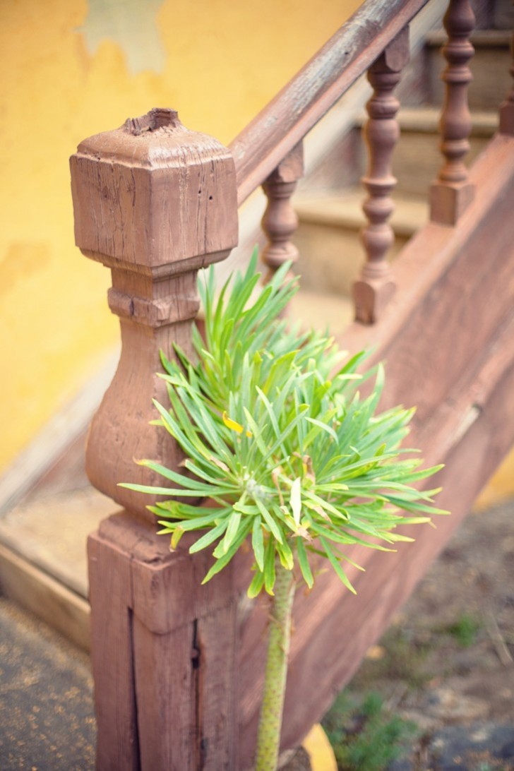 IMG_6148_1.jpg_effected