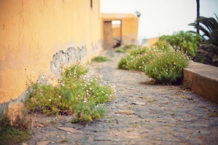 IMG_6155_1.jpg_effected