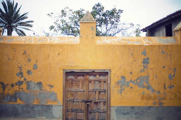 IMG_6183_1.jpg_effected