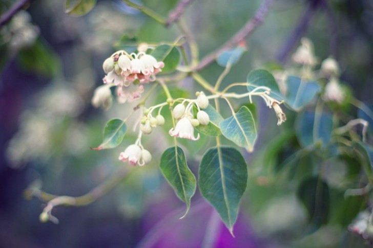 IMG_6207_1.jpg_effected