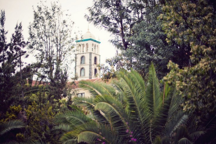 IMG_6211_1.jpg_effected