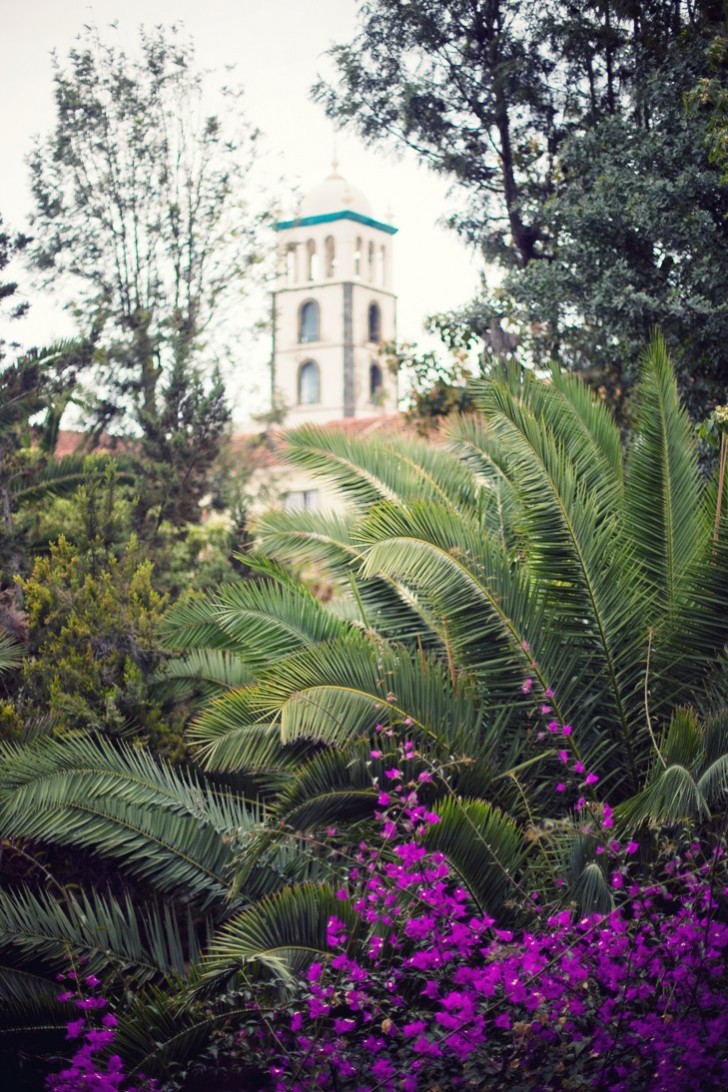 IMG_6213_1.jpg_effected