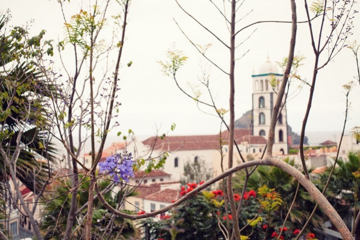 IMG_6224_1.jpg_effected