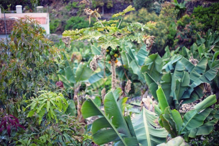 IMG_6238_1.jpg_effected