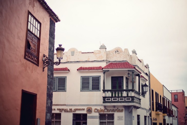 IMG_6244_1.jpg_effected