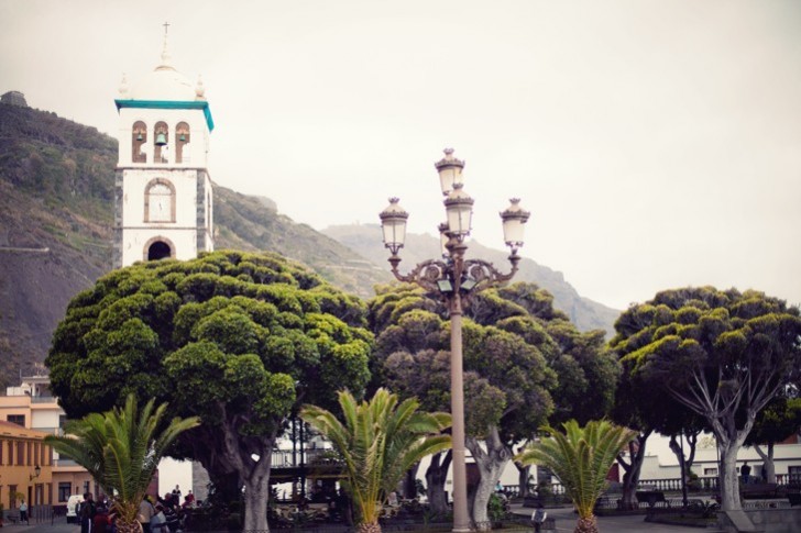 IMG_6245_1.jpg_effected