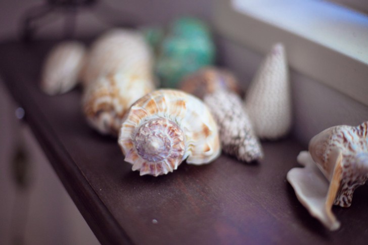 #100-like-sur-eleonorebridge