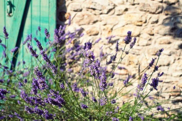 IMG_2006.jpg_effected