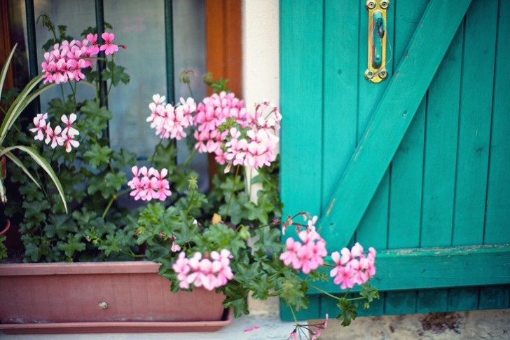 IMG_2022.jpg_effected-001