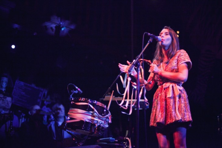 lisa-elephant-concert-zebre