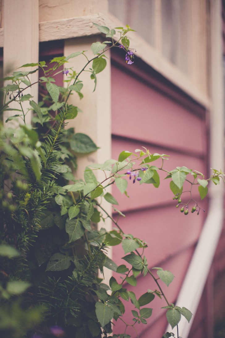 Charlottetown-ca (30)