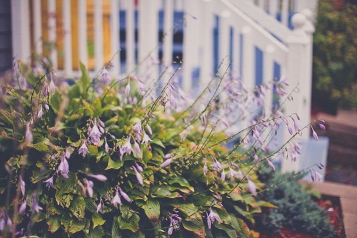 Charlottetown-ca (31)