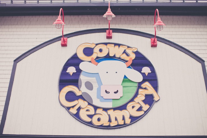ice-cream-cows (1)