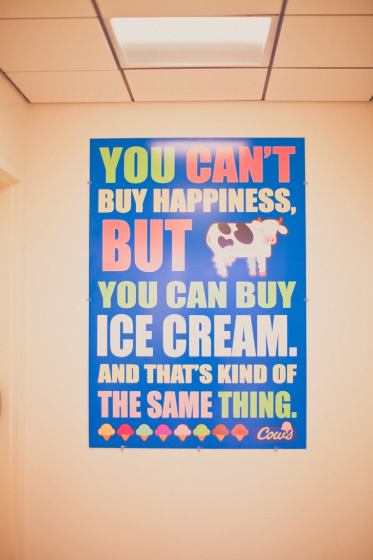 ice-cream-cows (6)