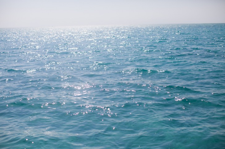 bateau-ile-maurice (45)