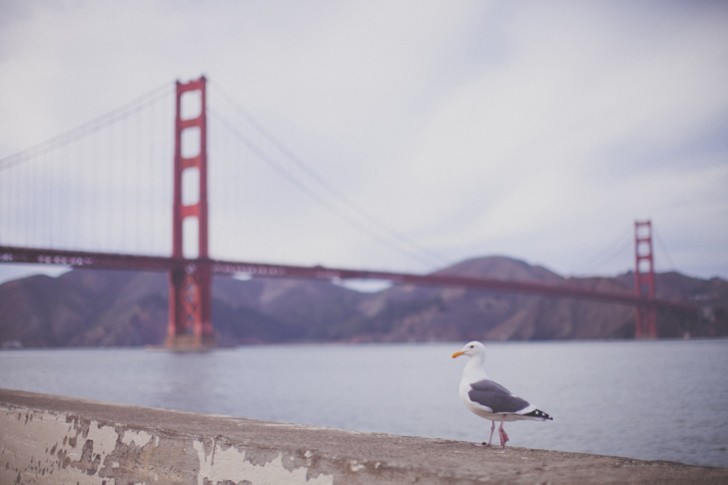 San Francisco (17)