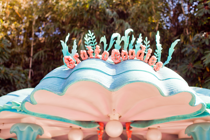 tokyo disney sea (24)