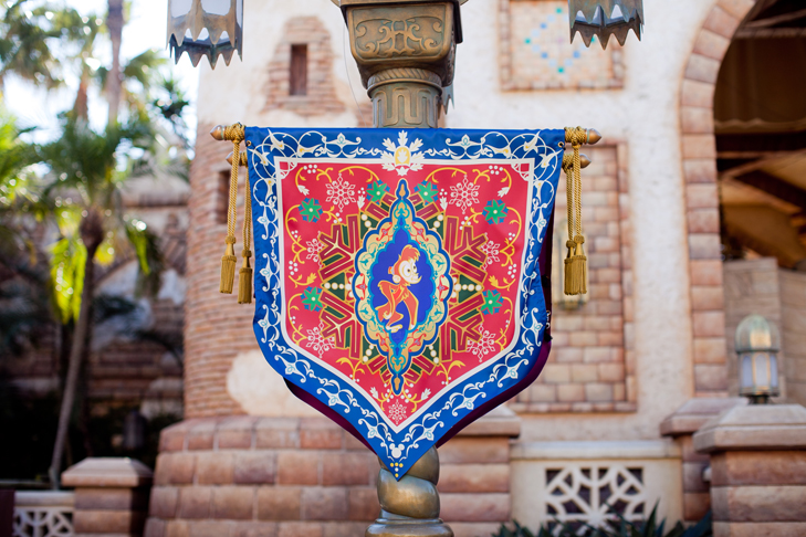 tokyo disney sea (25)