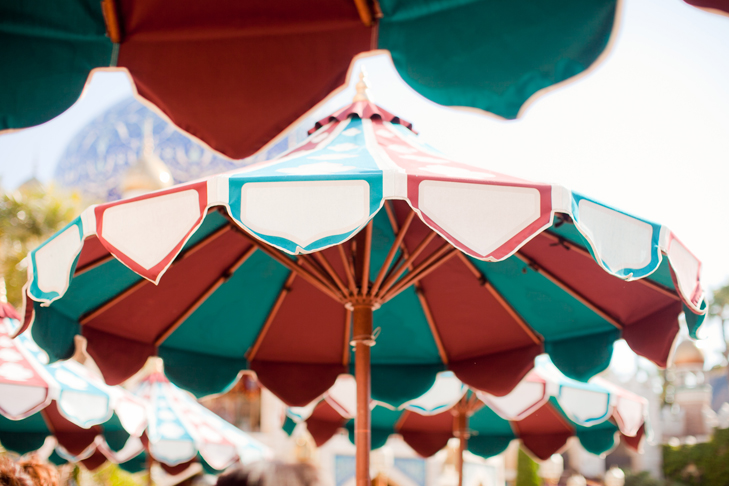 tokyo disney sea (27)