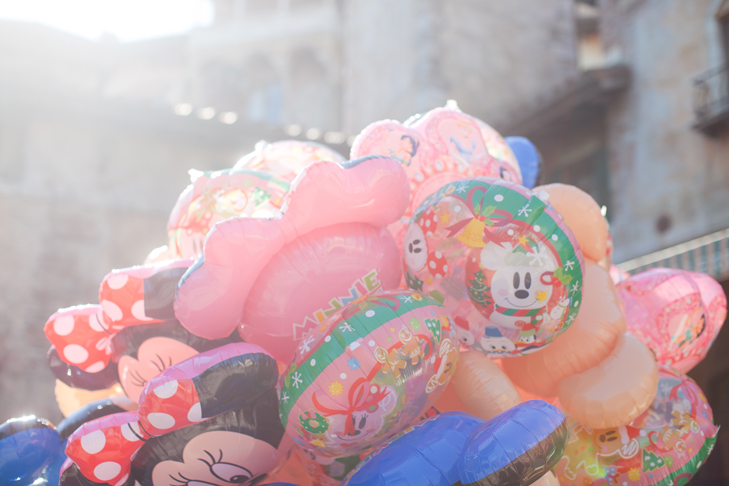 tokyo disney sea (3)