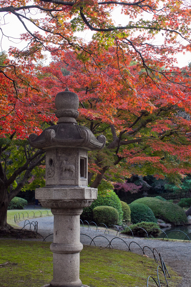 Tokyo (36)