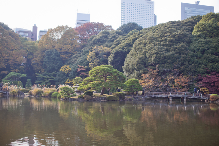 Tokyo (39)