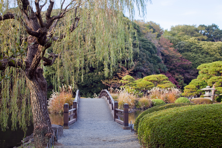 Tokyo (42)