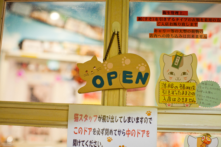 cat cafe (2)