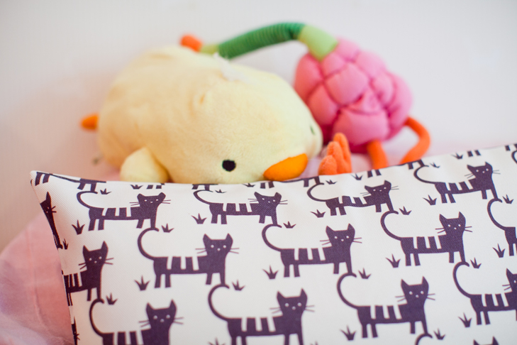cat cafe (7)