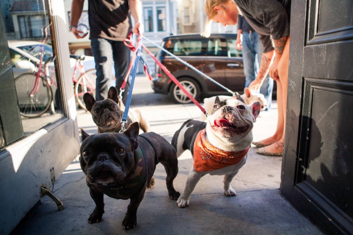 SF-Lower-Haight-Odessa-Shekar (2)