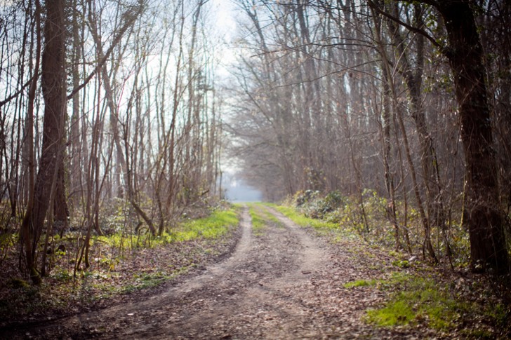 eleonore bridge (16)
