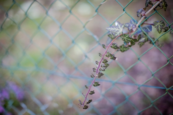 eleonore bridge (19)