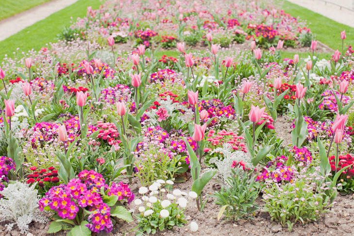 jardin du luxembourg (11)