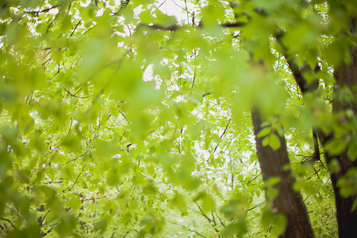jardin du luxembourg (15)