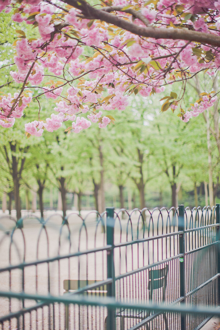 jardin du luxembourg (23)