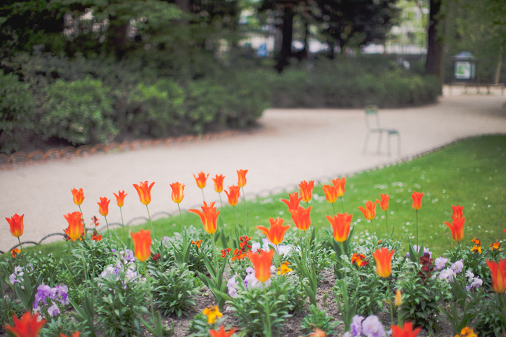 jardin du luxembourg (32)