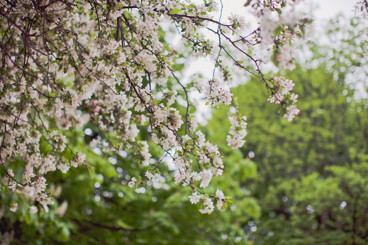 jardin du luxembourg (38)