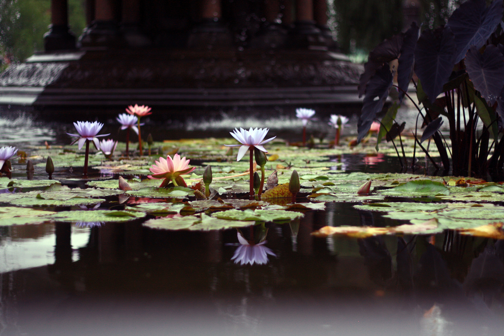 2853434151_bdbe46d576_b