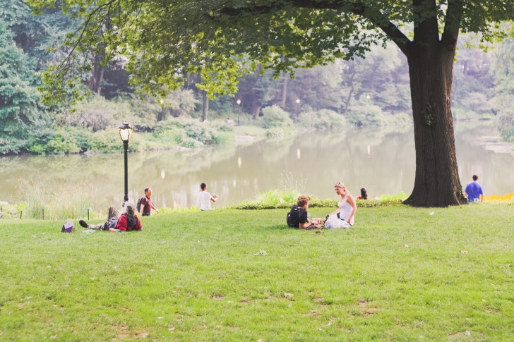 3853200247_db1a00fe6d_o-2